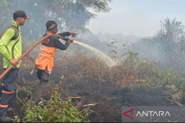 BMKG: Asap karhutla di Aceh Selatan bisa menyebar ke kabupaten lain