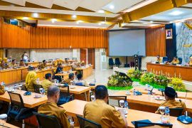 Regulasi SOTK di NTB baru berlaku tahun depan