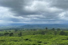 Keindahan Gunung Dempo, surga hijau di Pagar Alam