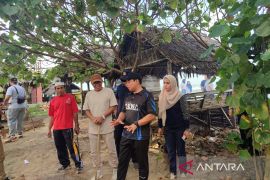 723 honorer Bengkulu lulus PPPK, 300 lainnya diusulkan paruh waktu