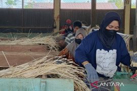 Kadin: Potensi ekspor produk senilai Rp2,3 kuadriliun belum tergarap