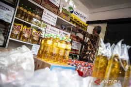 Menkop sebut Kopdes Merah Putih tetap bisa menjadi pangkalan LPG 3 kg