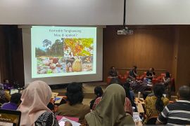 Festival Tengkawang Kalbar membahas akses permodalan bagi petani hutan