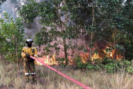 Kebakaran lahan di Bintan berhasil dipadamkan