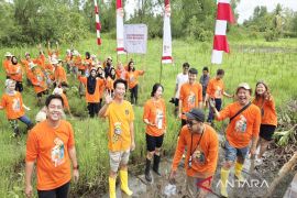 SBI tanam 4.000 rambai pulihkan ekosistem mangrove Pulau Curiak