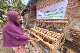 Taman Gizi jadi program perkuat ketahanan pangan keluarga