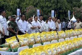 Pemerintah salurkan 43 ribu ton beras SPHP untuk stabilkan harga