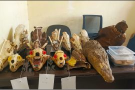 Kemenhut bongkar jaringan perdagangan satwa liar antar-pulau di Malang