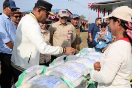 Perusahaan-petani Kukar sulap eks tambang jadi sawah produktif