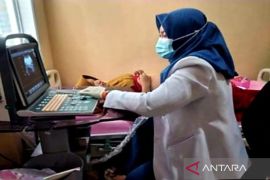 Dinkes mewujudkan "Keluarga SKS" bantu kesehatan mental ibu hamil