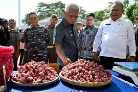 Dukung gerakan pangan murah serentak nasional, Sumut gelar pasar murah di 394 titik lokasi di 33 Kabupaten/Kota