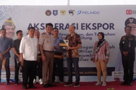 Babel ekspor langsung ikan segar dan lada biji, buktikan akselerasi