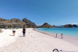 DPR RI minta pemerintah kaji ulang pemberian izin usaha di TN Komodo