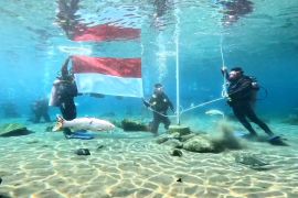 Puluhan penyelam ikuti upacara bawah air di Umbul Ponggok Klaten