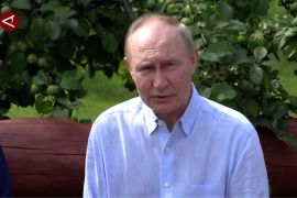 Hadapi tenggat Trump, Putin harap perundingan damai Ukraina lanjut