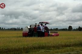 Sumsel antisipasi gagal panen dengan pompanisasi