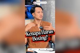 Kenapa harus boxing?