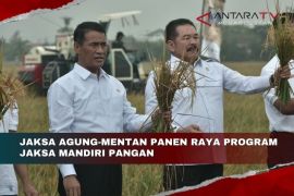 Jaksa Agung-Mentan panen raya Program Jaksa Mandiri Pangan