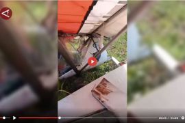Pesawat latih jatuh di Ciampea Bogor, satu orang meninggal dunia - VIDEO