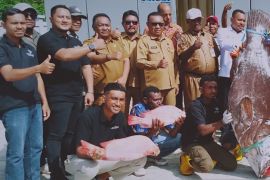 Diskop Biak harap 251 Kopdes Merah Putih tampung hasil alam