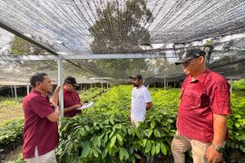 Tim Kemenkum Malut rampungkan pemeriksaan substantif pala Ternate