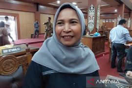 Legislator Palangka Raya sebut Perda RPJMD 2025-2029 segera disahkan