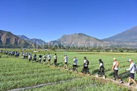 Pendaki Rinjani diingatkan tingkatkan kewaspadaan saat musim hujan