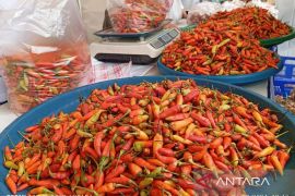 BI: Kinerja TPID berhasil  turunkan harga kebutuhan pokok Kaltim