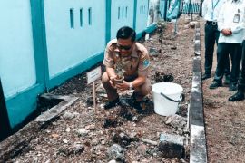 DLH dan RRI Biak perbaiki kualitas udara dengan menanam pohon