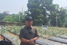 Wali Kota Depok ajak warga tanam cabai dan buah untuk perkuat ekonomi