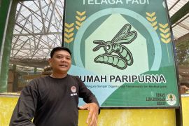 Rutan Rantau sumbang sampah organik terbesar ke rumah maggot