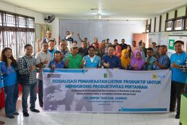 PLN dorong pertanian hijau di Sambas, wujudkan electrifying agriculture