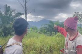 Upaya pencarian heli diduga jatuh di Mentewe Kalsel