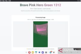 Cara membuat foto Brave Pink dan Hero Green yang tengah viral di medsos