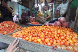 Petani Kaltim makin sejahtera  dibuktikan kenaikan NTP