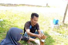 Dinas Pertanian Pasaman gencarkan vaksinasi hewan antisipasi rabies