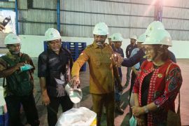 Waropen studi banding pengelolaan industri gula ke Banyuwangi