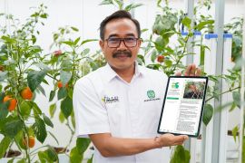 Pupuk Kujang kembangkan aplikasi 'konsultan pertanian pribadi' bagi petani