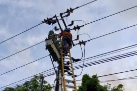 PLN Batam imbau masyarakat tidak main layangan dekat jaringan listrik