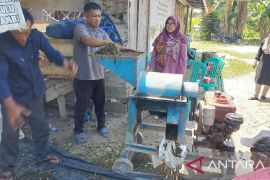 Faperta Unja gelar pelatihan pembuatan kompos gulma paitan