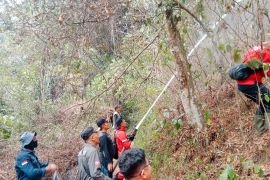 Tim Gabungan Agam berhasil padamkan hutan pinus terbakar seluas 9 hektare