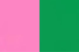 Dari Ibu Ana hingga Affan Kurniawan: Lahirnya simbol pink pemberani dan hijau heroik