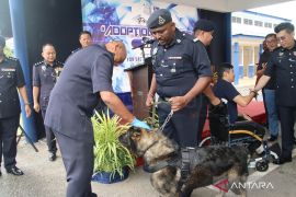 Kepolisian Malaysia buka program adopsi anjing pelacak K9 purnatugas