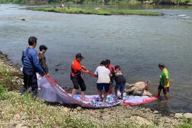 Disnakeswan Tulungagung ambil sampel bangkai sapi di Sungai Brantas