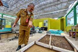 DLH Tapin andalkan maggot untuk kurangi sampah organik