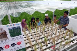 Belajar Bertani di Lahan Tidur