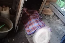 Seorang nenek di Pulang Pisau diduga dibunuh cucunya gara-gara tanah