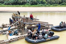 Usai pacu jalur, Masih ditemukan 55 rakit rakit PETI di Sungai Kuantan