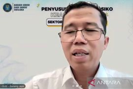 BSSN  minta pemda waspada ancaman siber pada web defacement