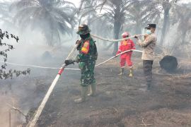 448,73 hektare lahan terbakar  di Jambi sejak Januari-Agustus 2025